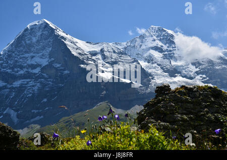 mountains, switzerland, glacier, monk, emblem, big, large, enormous, extreme, Stock Photo