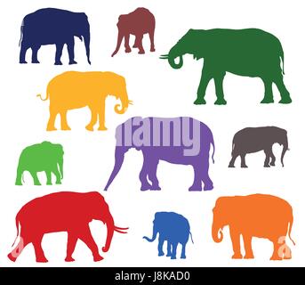 Set of vector standing indian and african elephants in different colors on white background Stock Vector