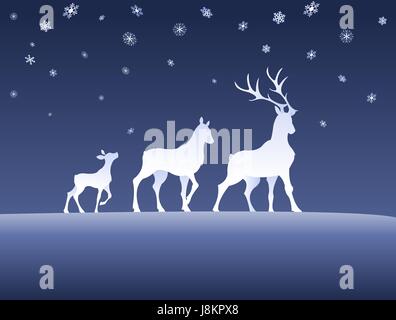 winter, buck, roedeer, stags, snow, roe, hart, stag, blue, optional, winter, Stock Photo