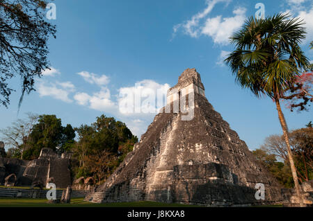 The Temple I known also as temple of the Giant Jaguar at Tikal mayan archaeological site. Stock Photo