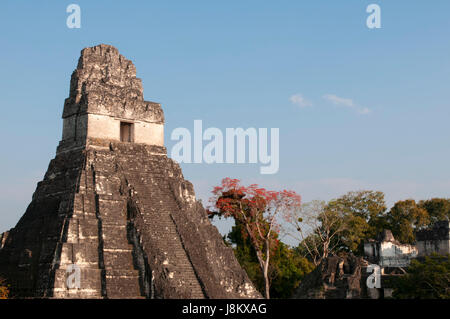 The Temple I known also as temple of the Giant Jaguar at Tikal mayan archaeological site. Stock Photo