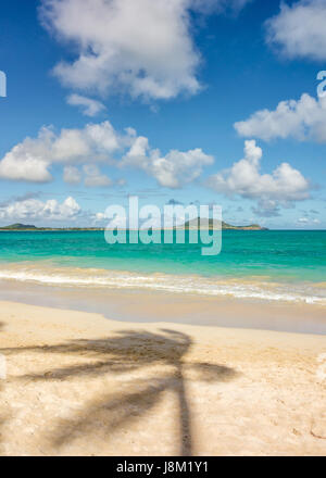 The shadow of a palm tree on white sand, pointing out toward the beautiful emerald green waters of Kailua Bay, Hawaii. Stock Photo