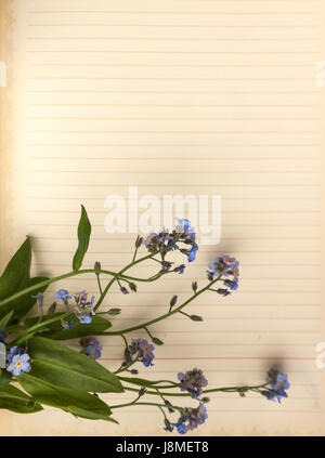 An old blank page of a notebook, there is a bouquet of forget-me-nots on it. Top view, close-up view. Stock Photo