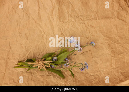 A bouquet of blue forget-me-not flowers on an old yellow rumpled parchment paper. View from above.. Stock Photo