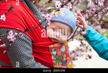 Cute baby in knitted hat sitting in a sling scarf Stock Photo