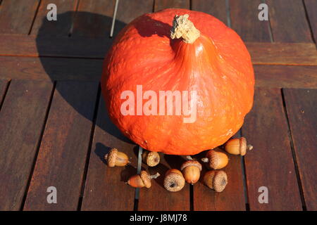 Pumpkin and acorn on a wooden table Stock Photo