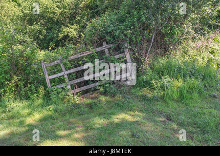 Dilapidated open wooden field gate - possible metaphor for 'no restrictions' or obstacles, 'floodgates open', wide open gate. Abandoned farmland. Stock Photo