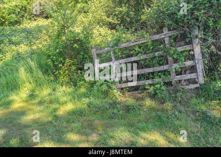 Dilapidated open wooden field gate - possible metaphor for 'no restrictions' or obstacles, 'floodgates open', wide open gate. Abandoned farmland. Stock Photo