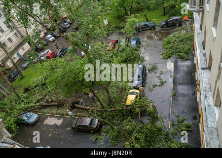 Moscow, Russia. 29th May, 2017. Aftermath of storm in Moscow, Russia Credit: Alexei Fateev/Alamy Live News Stock Photo