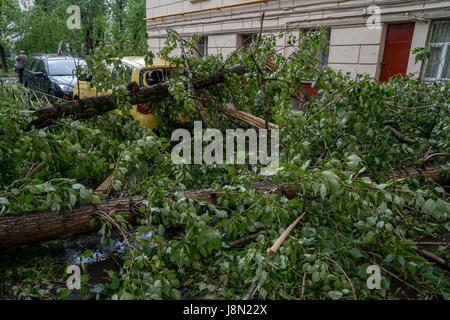 Moscow, Russia. 29th May, 2017. Aftermath of storm in Moscow, Russia Credit: Alexei Fateev/Alamy Live News Stock Photo