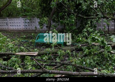 Moscow, Russia. 29th May, 2017. A bench is surrounded by the fallen branches of trees after a storm in Moscow, Russia, on May 29, 2017. A sudden storm killed at least 11 people in Moscow Monday afternoon and forced 50 others to seek medical assistance, local media reported. Credit: Evgeny Sinitsyn/Xinhua/Alamy Live News Stock Photo