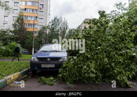 Moscow, Russia. 29th May, 2017. The fallen branches of trees are seen by a car after a storm in Moscow, Russia, on May 29, 2017. A sudden storm killed at least 11 people in Moscow Monday afternoon and forced 50 others to seek medical assistance, local media reported. Credit: Evgeny Sinitsyn/Xinhua/Alamy Live News Stock Photo