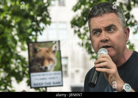 May 29, 2017 - London, UK - London, UK. 29th May 2017. Badger Trust Chief Executive Dominic Dyer speaks to several thousand people at the rally in Cavendish Square before they march to another at Downing St to tell Theresa May that the public are against having a vote in Parliament on the fox hunting bill. Polls show that over 80% of the public in city and rural areas are against lifting the ban and many would support stronger measures and proper enforcement of the 2004 ban. Among those who spoke and marched was Prof Andrew King of the Animal Welfare Party who is standing against Theresa May i Stock Photo