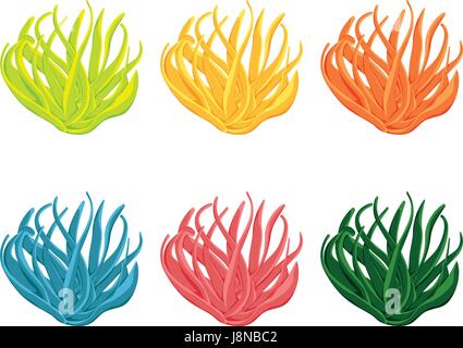 Underwater sea grass vector collection isolated on white background Stock Vector