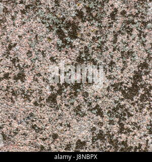 Macro of a granite structure with lichen. Stock Photo