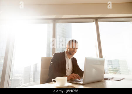 Successful businessman working on laptop in office Stock Photo