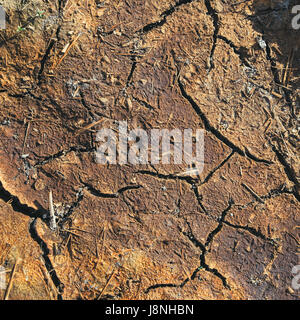 Abstract background of dry red earth with cracks Stock Photo