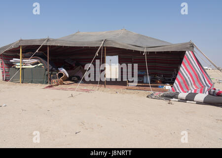 A discarded bedouin camp in Kuwait with camel hair tent. Stock Photo