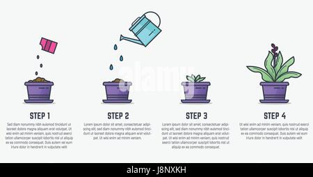 Growing stages of plant Stock Vector