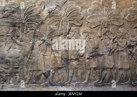 Campaigning in southern Iraq.   Assyrian, 640-620 BC. Nineveh, South-West Palace. Iraq. British Museum. London. Stock Photo
