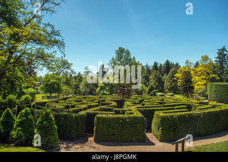 Maze Garden Stock Photo