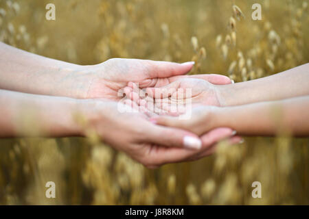 Mother holding childrens hands Stock Photo