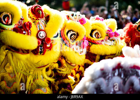 Traditional Lion Dance Stock Photo