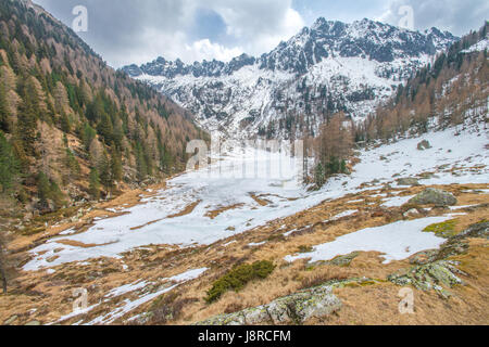 Lonely valley in the Italian Dolomites, snowy and icy as winter hasn't released its grip on the mountains and the woods yet. Stock Photo