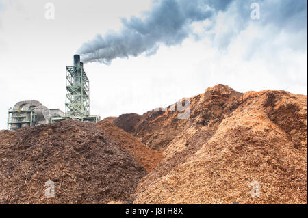 Paper mill operations in the American Pacific North West. Wood chip pile feeds raw material to the paper making process. Stock Photo