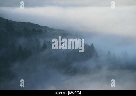 Cool Fog settles early morning over Napa Valley, CA Stock Photo