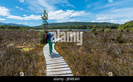 Female hiker crossing swamp, Kepler Track, Fiordland National Park, Southland, South Island, New Zealand Stock Photo