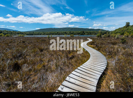 Wooden track over swamp, Kepler Track, Fiordland National Park, Southland, South Island, New Zealand Stock Photo