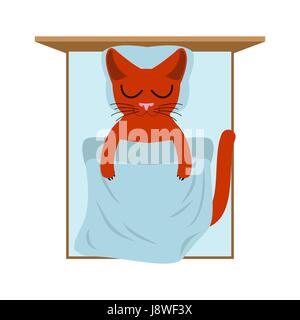 Cat sleeps in bed. Pillow and blanket. Sleeping kitten Stock Vector