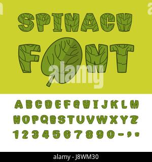 Spinach font. Useful Herbs alphabet. Green lettuce leaves alphabet. Sports, dietetic food typography. Grass letters Stock Vector