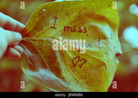 the word i miss you on old leaf, miss u message for far away lover on wall  background Stock Photo - Alamy