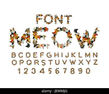 Meow font. Cat alphabet. catlike ABC. letters of  Pet. Pets typography Stock Vector