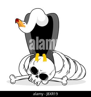 Vulture and skull. Carrion Bird and skeleton. Gnawed corpse. Griffon and carrion Stock Vector