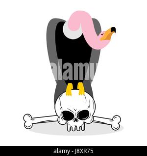 Vulture sitting on skull. Condor scavenger birds and bones. Griffon and remains of skeleton Stock Vector