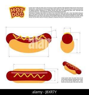 Hot dog infographics standard. reference  sizes of fast food. Drawing, bread and sausages scheme. Template for preparation of hot dogs Stock Vector