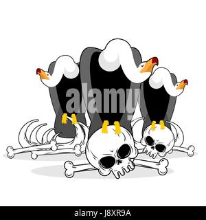 Vultures on skull isolated illustration. Griffon gnaw  remains of skeleton. Condor and bones. Griffon vulture is eating carrion. Scavenger birds of pr Stock Vector