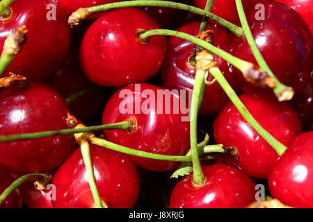 Cherry sweet red fresh fruit texture as background. Stock Photo