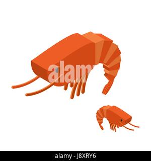 Shrimp Isometric on white background. Marine arthropod animal. Oceanic plankton. Underwater crustacean Stock Vector