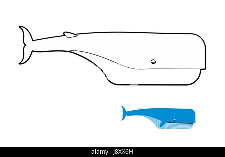 Sperm whale coloring book. Blue whale vector illustration Stock Vector
