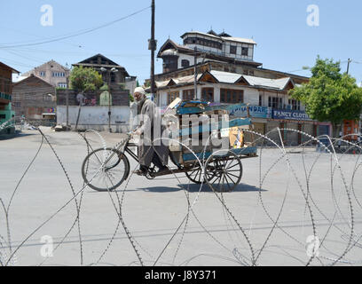 Srinagar, India. 30th May, 2017. A rag picker passes through the concentina wires during curfew in Kashmir. Curfew has been put in plcae in Kashmir on third day to counter the protests against the killing of Kashmiri Rebel Sabzar in an encounter with Indian Forces in Tral area of Kashmir on Saturday. Credit: Muzamil Mattoo/Pacific Press/Alamy Live News Stock Photo