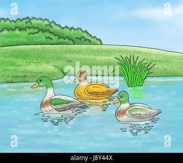 swimming duck drawing