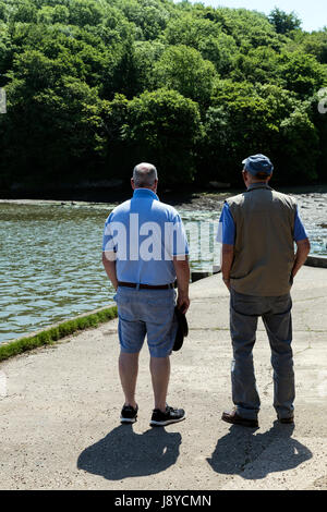 A creek on River Dart at Stoke Gabriel Stock Photo