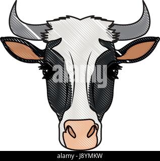 cow head horns aminal rural farm Stock Vector