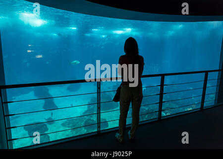 People inside Lisbon Oceanarium, Parque das Nacoes, Portugal Stock Photo