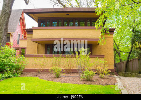 Chicago Illinois Oak Park 6 Elizabeth Court by Frank Lloyd Wright Architect 1867 to 1959 Laura Gale House home residence trees tree Stock Photo