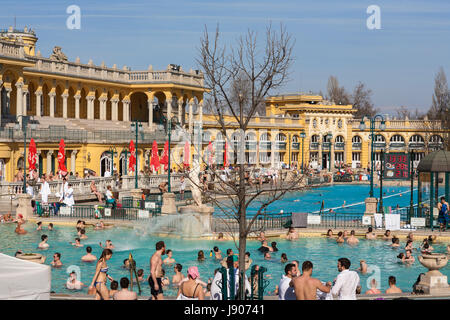 Outdoor pools at the Széchenyi Thermal Baths, Városliget, Budapest, Hungary: popular in early March! Stock Photo